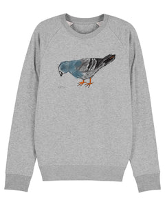 Organic Raglan Sweatshirt - The Pigeon